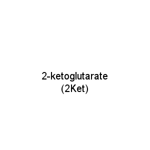 2-ketoglutarate (2Ket)